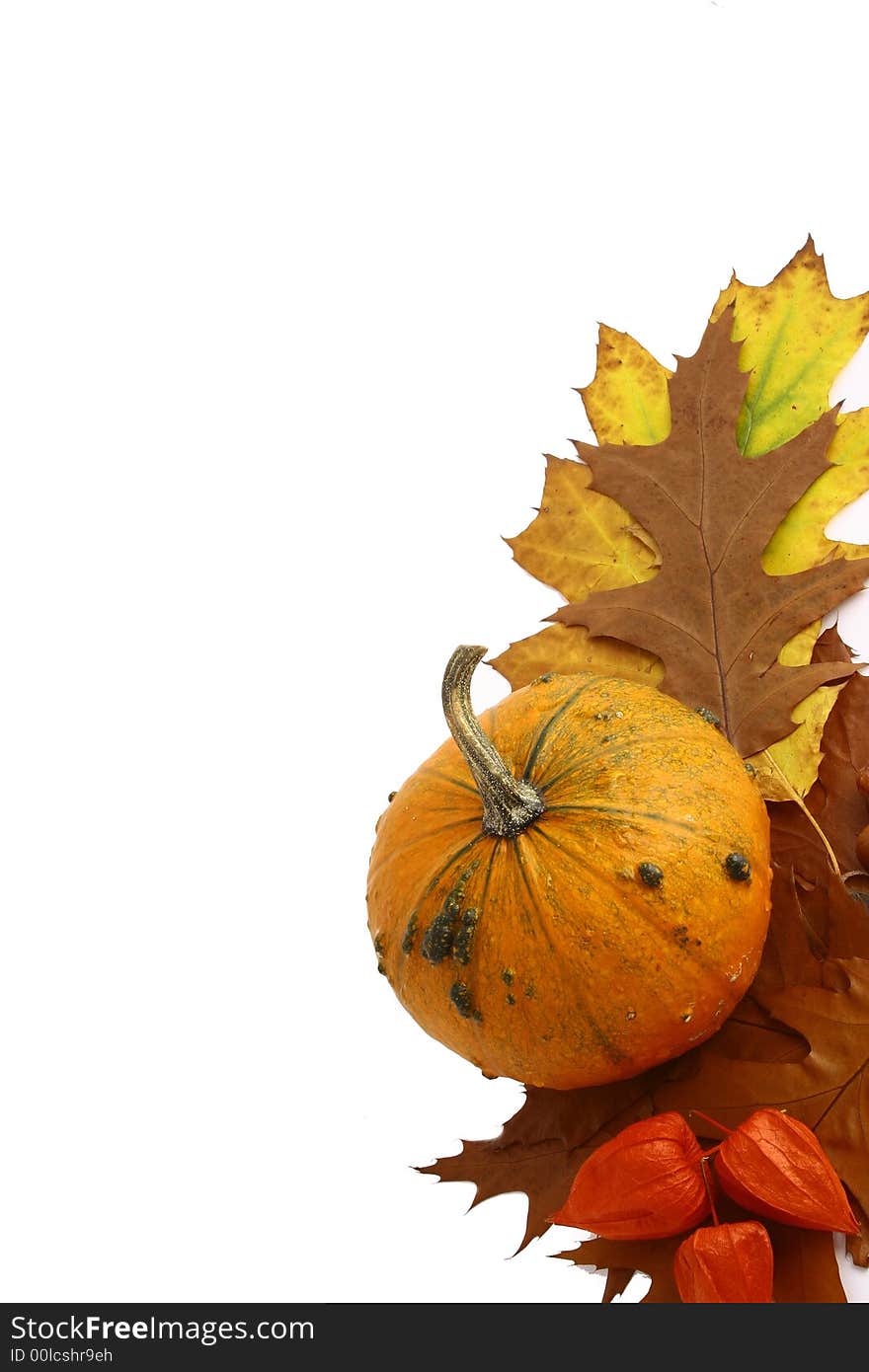 Pumpkins and gourds on isolated on white background with fall leaves frame