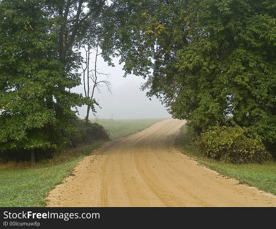 A dirt road leads through the woods on a foggy morning.