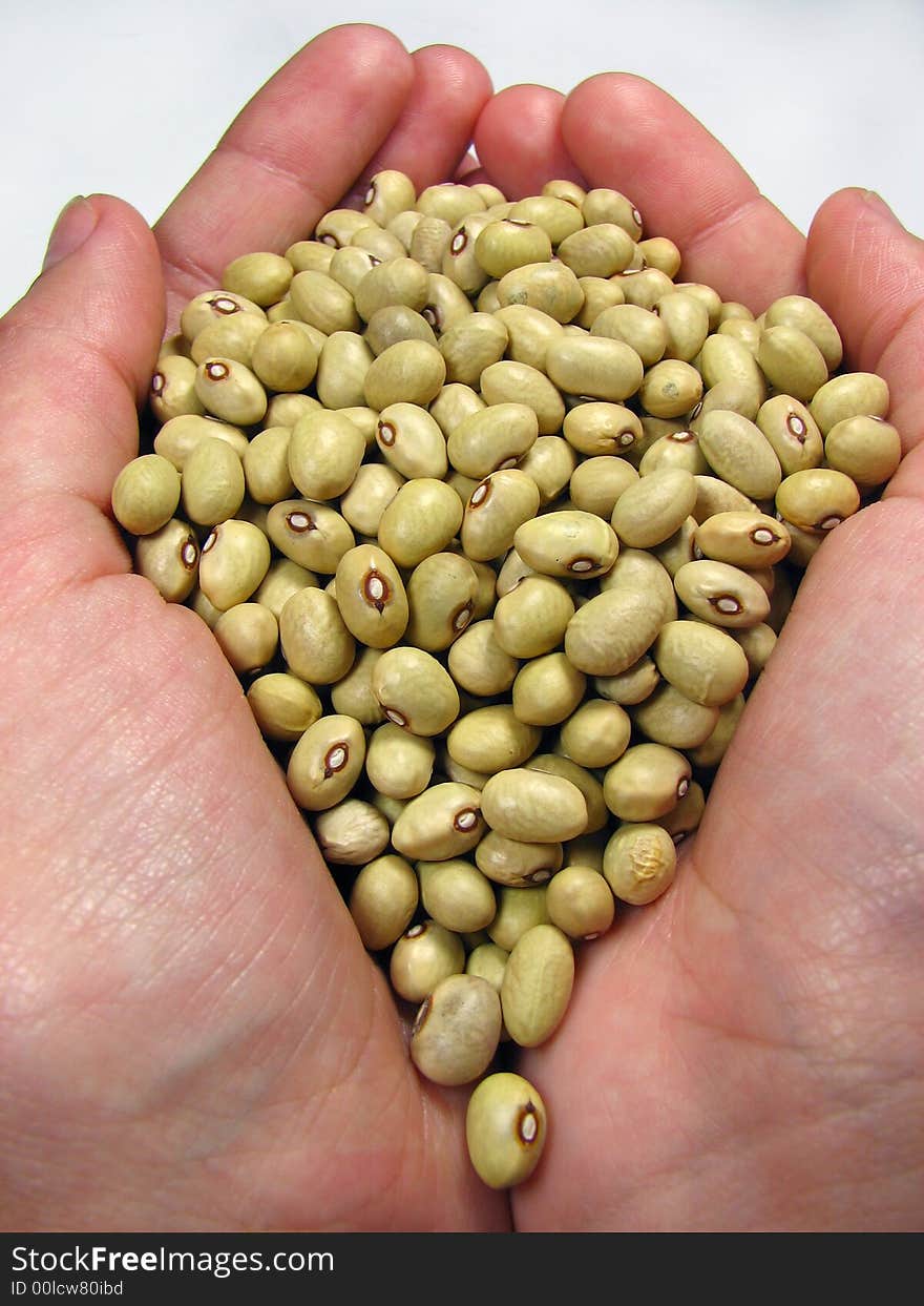 A pile of beans, white background. A pile of beans, white background