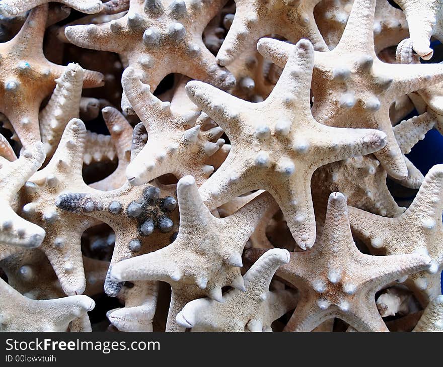 Starfishes from the Mediterranean which can be used as a background