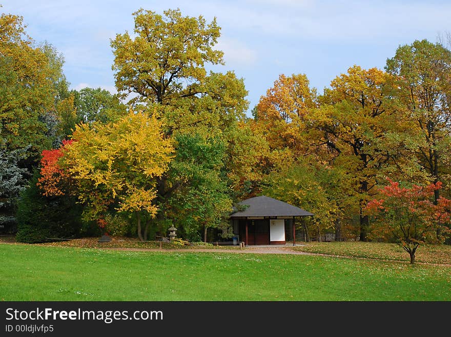 Autumn japanese garden with house