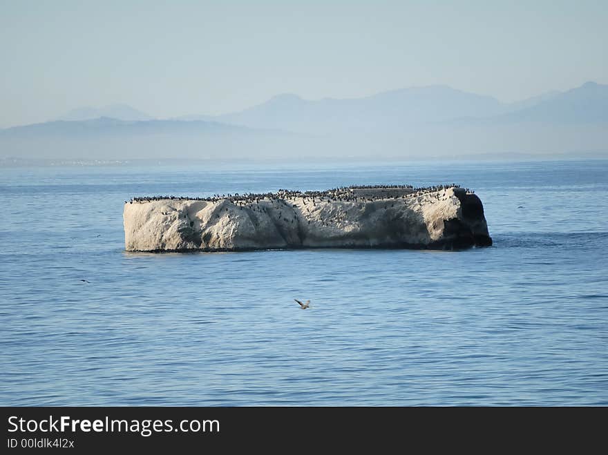 Swimming rock