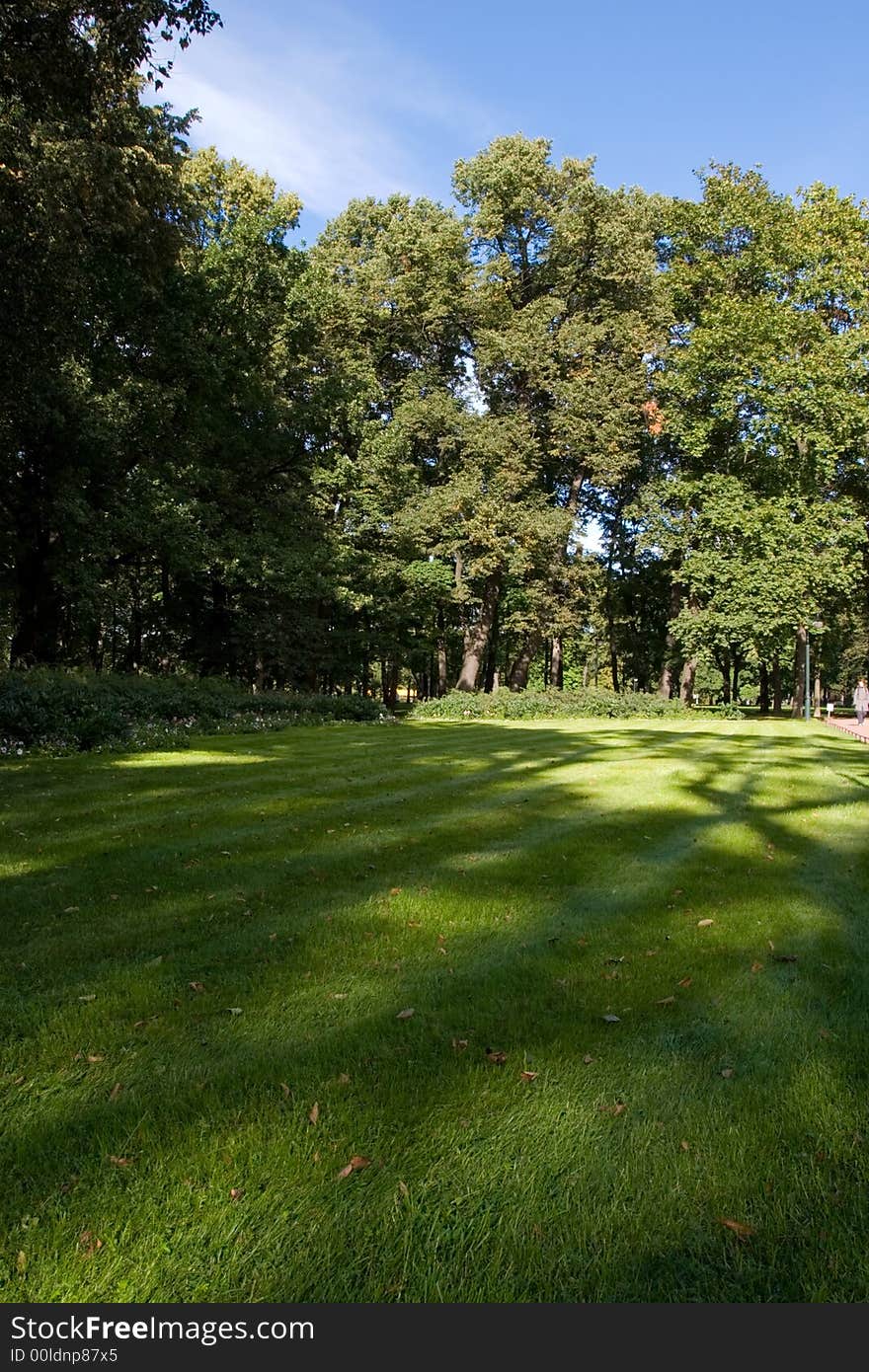 City park in Saint Petersburg (Russia) at summer time