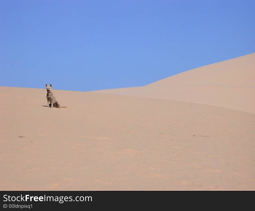 Desert in vietnam