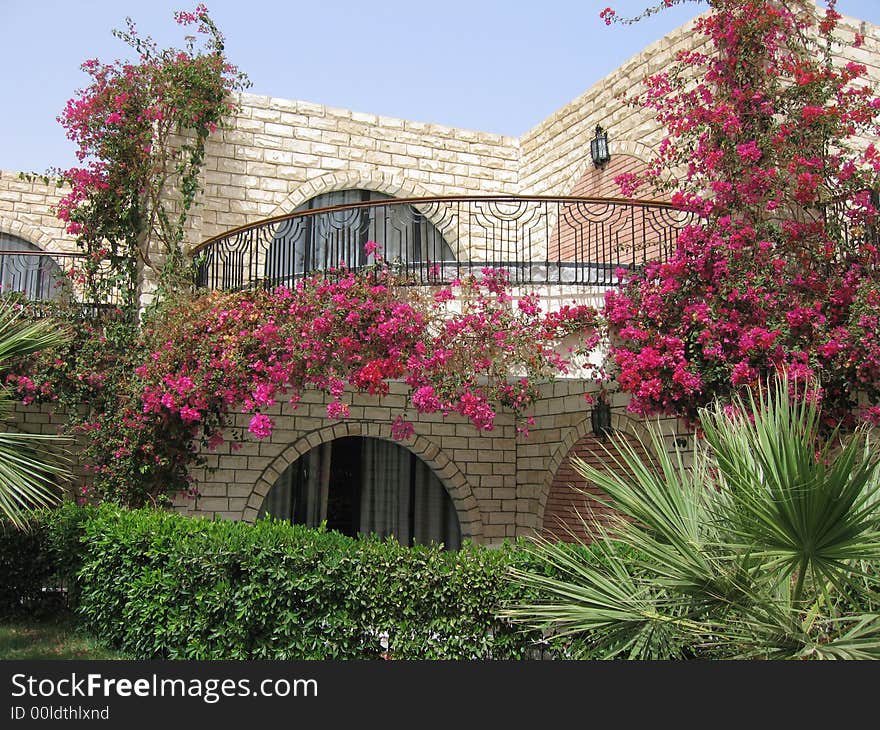 Small hotel from a white stone in red flowers.