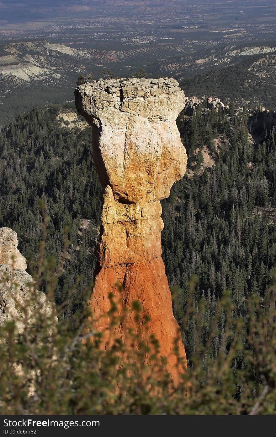 The well-known orange rocks in Bryce canyon in state of Utah USA. The well-known orange rocks in Bryce canyon in state of Utah USA