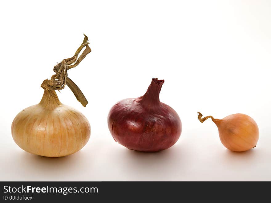 Three juicy bulbs on a table white background. Three juicy bulbs on a table white background