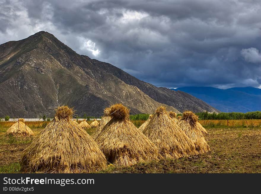 Storm in Tibet. Heavy clouds and very strong wind