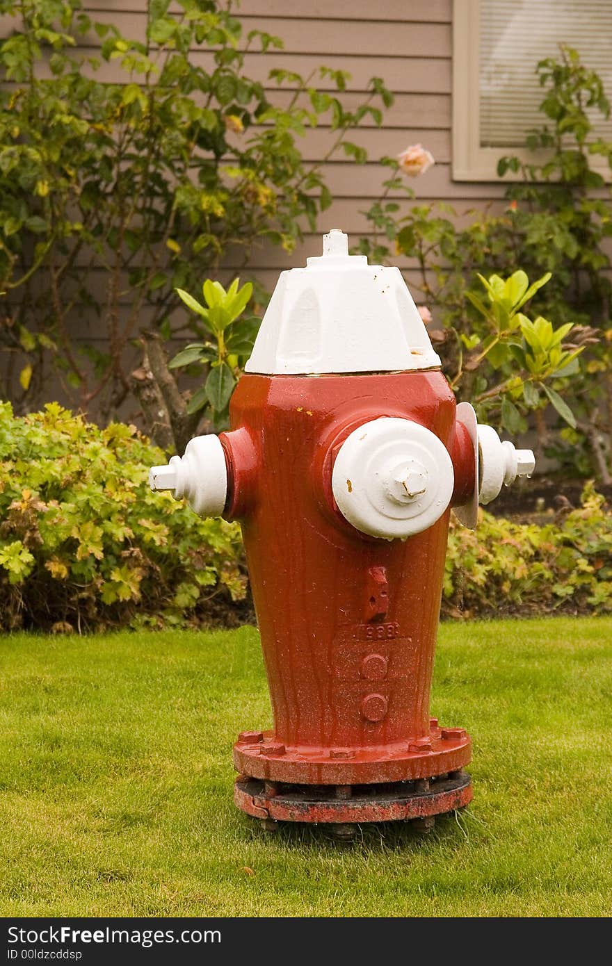 Red and White Fire Plug