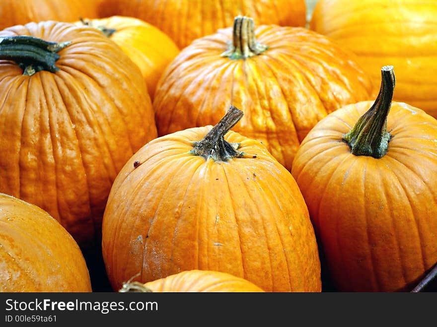 Photo of a nice close up pumpkin