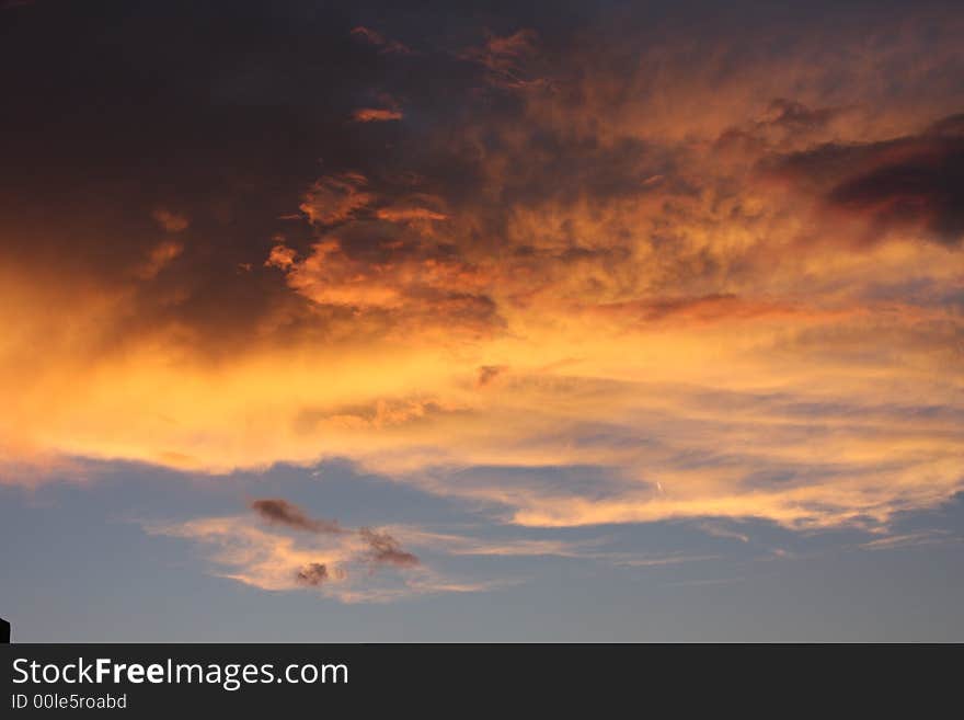 Lion in sunset