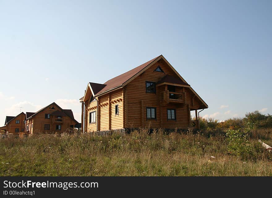 New Houses From A Tree