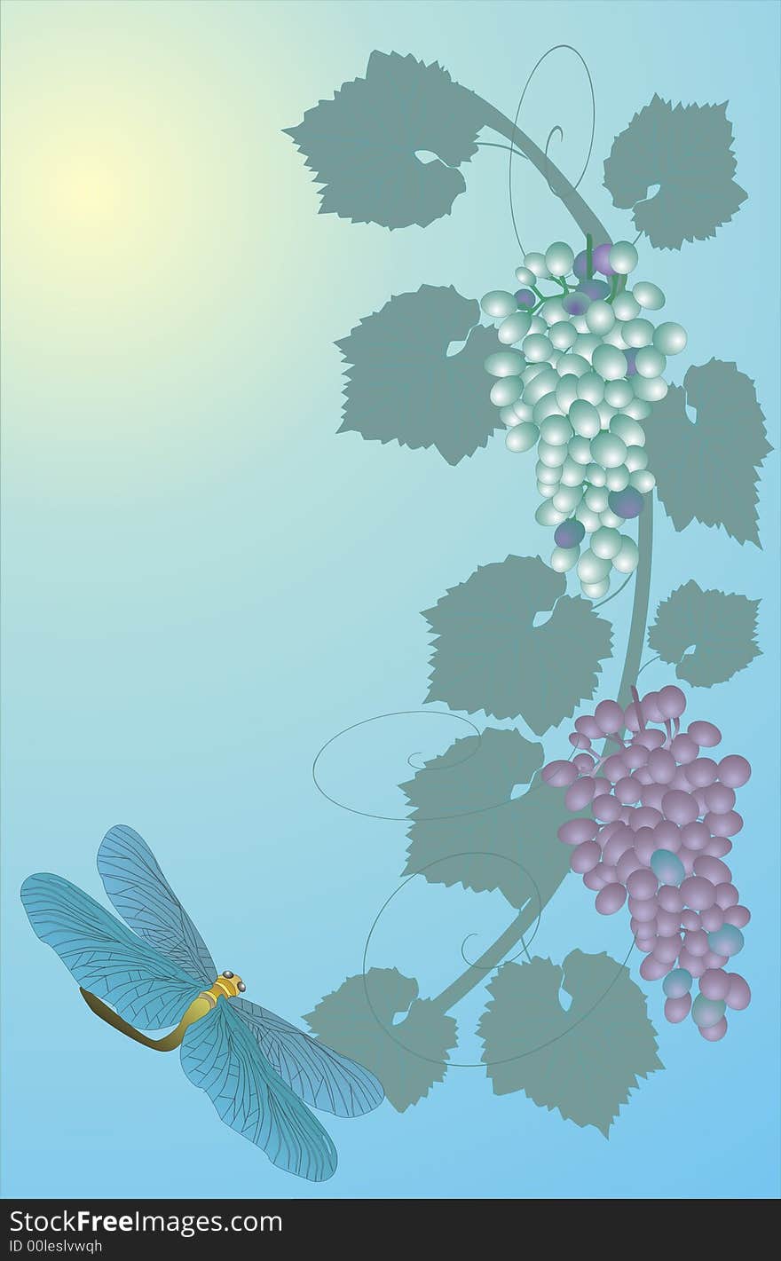 Dragonfly and grapes