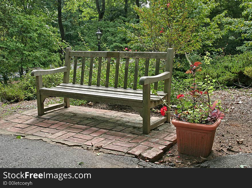 Bench And Flowers