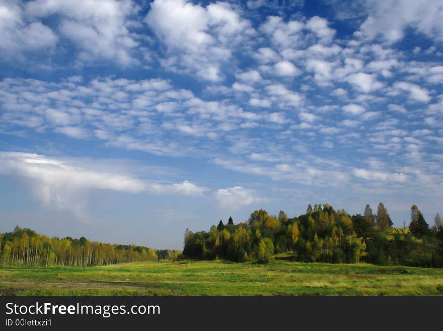 Autumn Landscape green grass, blue sky , white clouds and trees