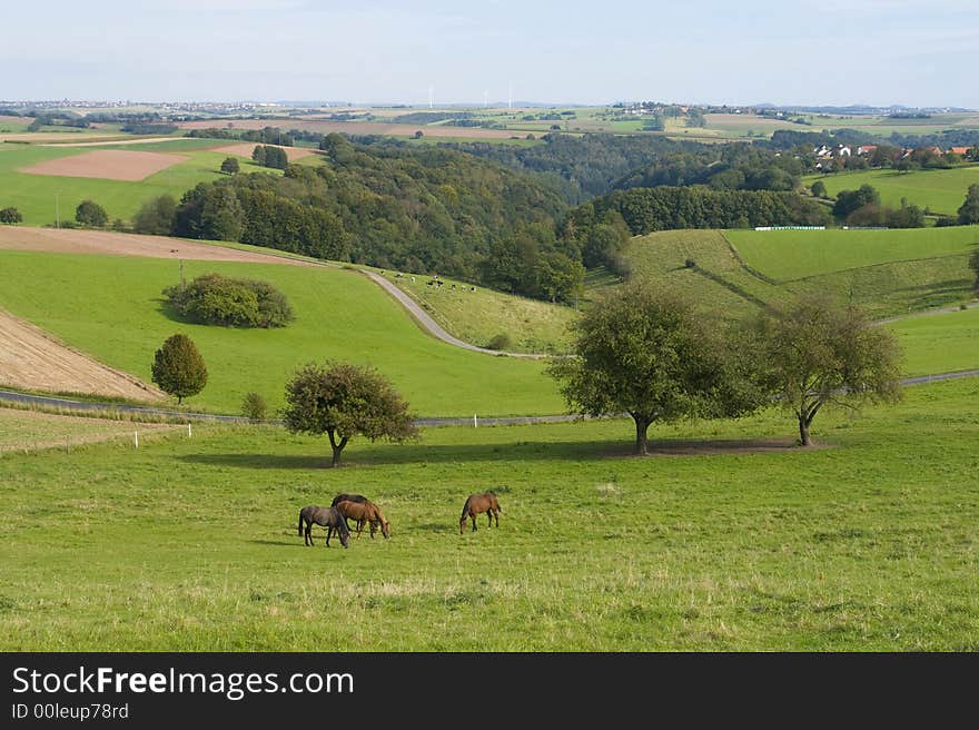 On a clear day you have magnificent views way into France from these quiet hills in the south-western part of Germany. On a clear day you have magnificent views way into France from these quiet hills in the south-western part of Germany.