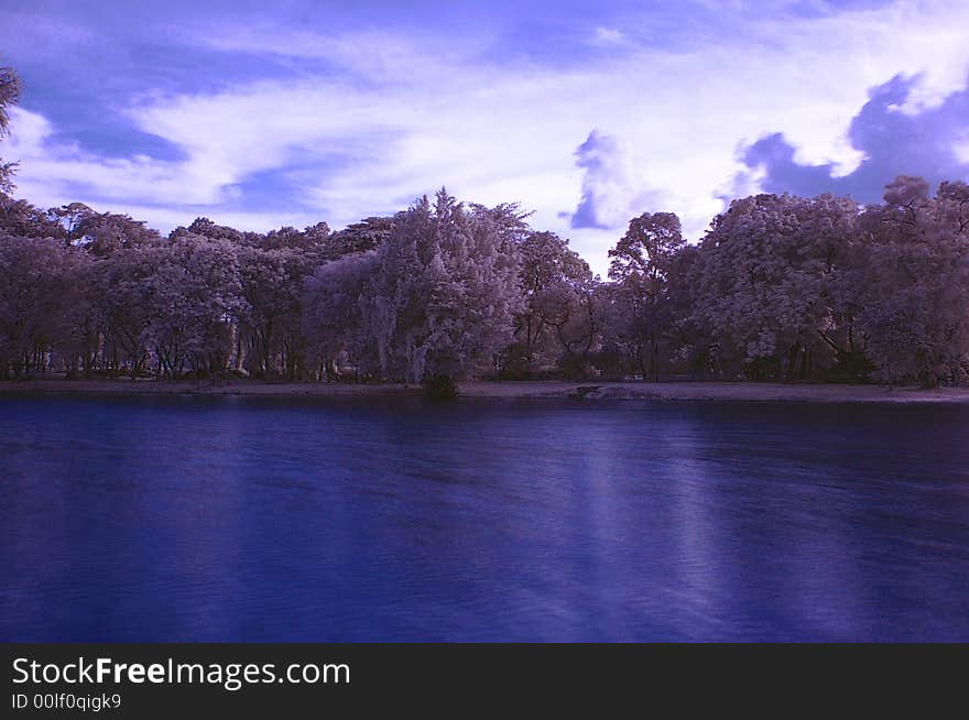 Trees And River