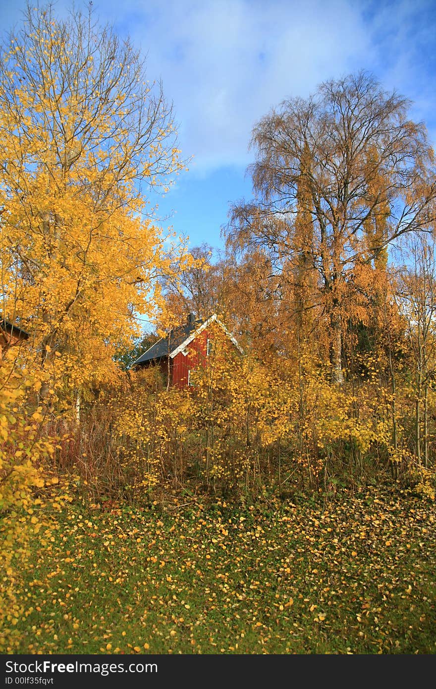 Red house in an autumn landscape