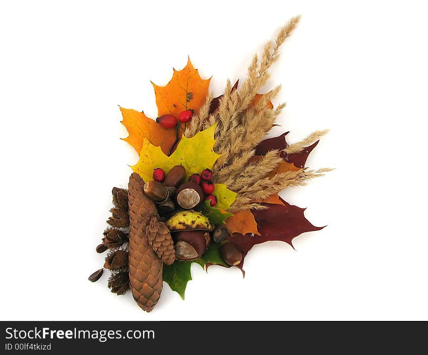 Compisition of autumn leaves, colors of autumn. Compisition of autumn leaves, colors of autumn