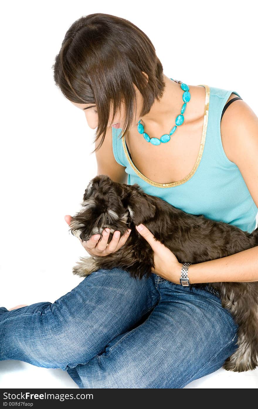 Owner playing with a cute puppy. Owner playing with a cute puppy