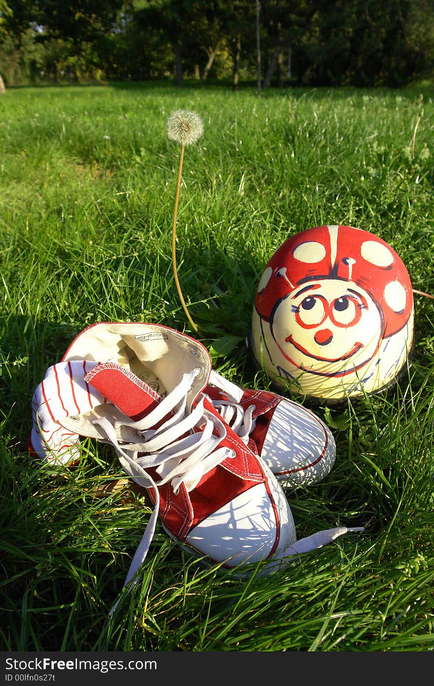 Shoes and helmet on grass