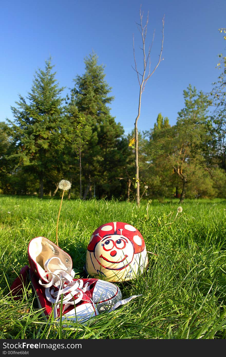 Shoes and helmet on grass