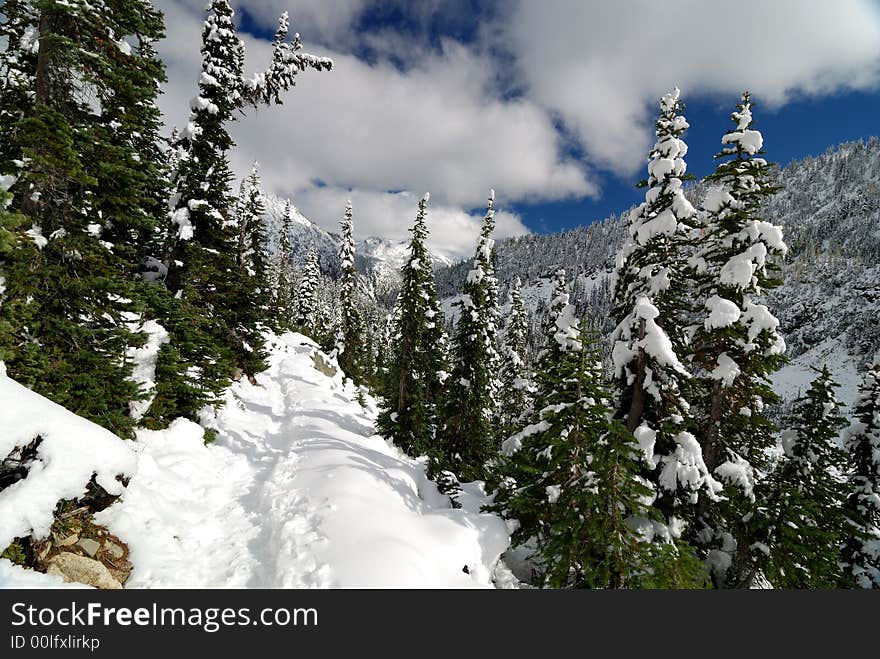 Walkway in snow