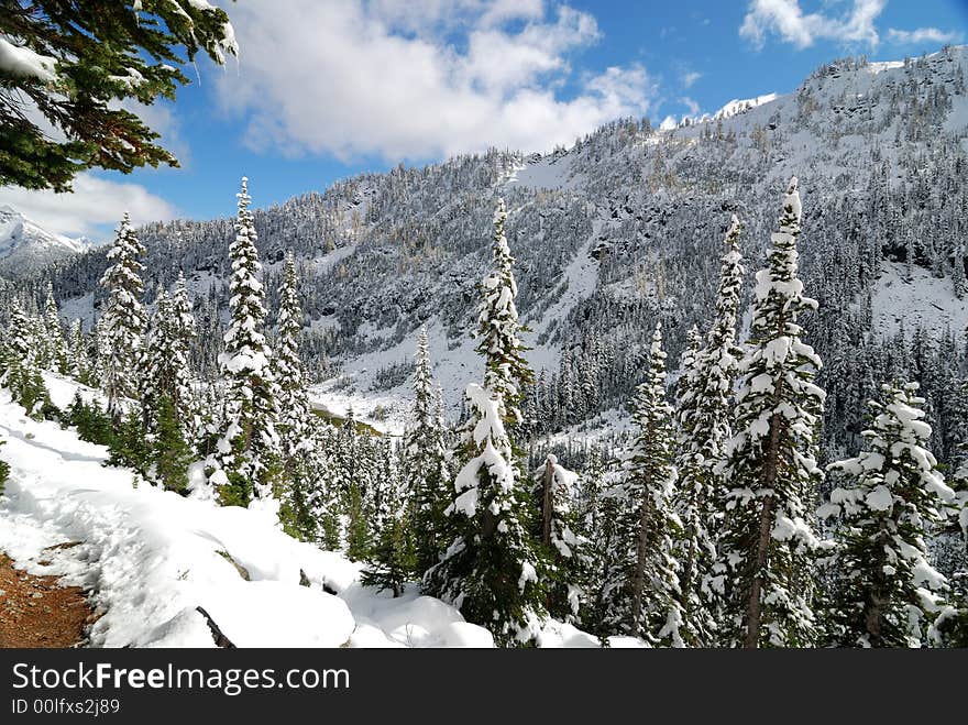 Early snow at Cascade National Park in Washington state. Early snow at Cascade National Park in Washington state