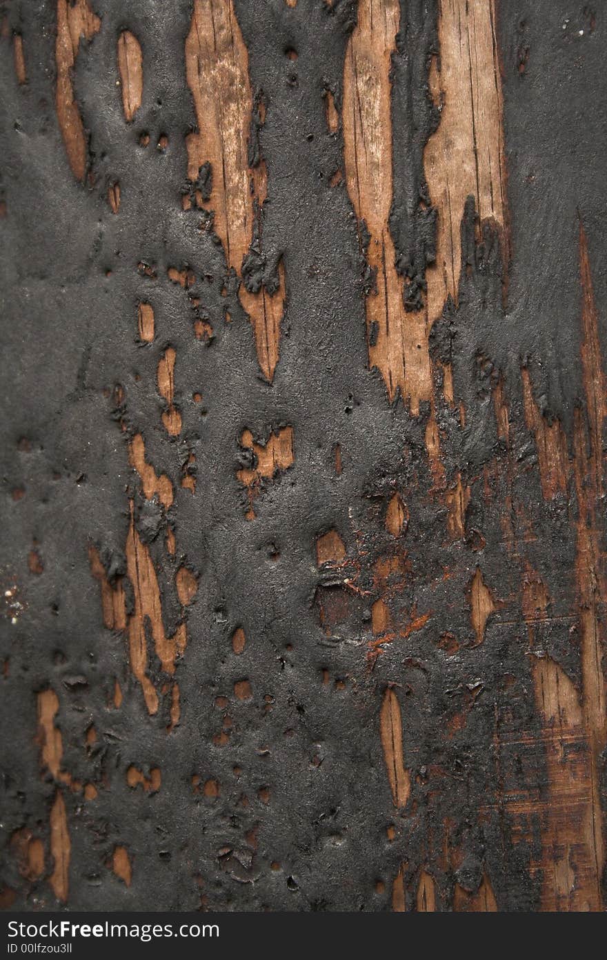 Grungy black tar on wood