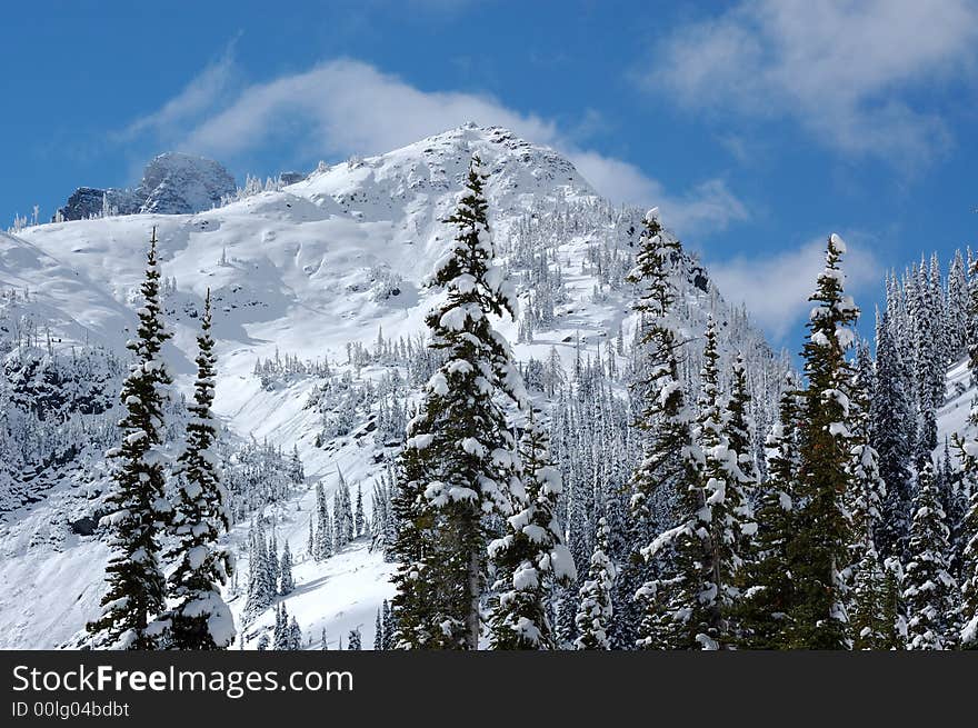 Cascade Mountain Snow