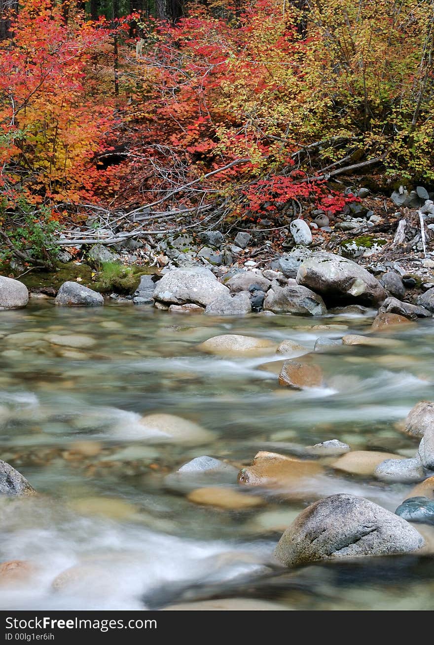 Fall foliage at North Cascade National Park. Fall foliage at North Cascade National Park