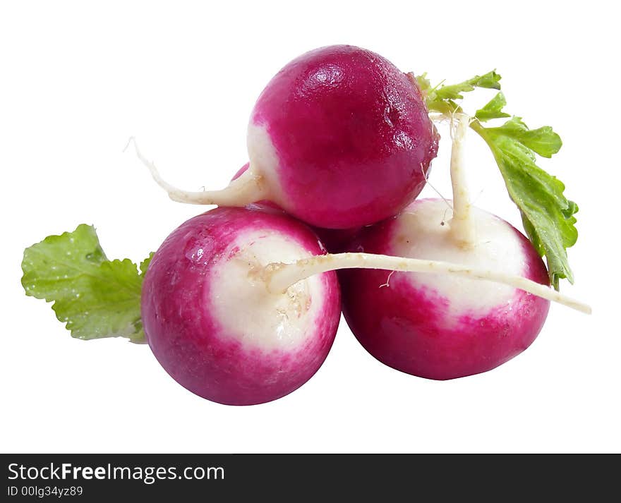 Radish Vegetables