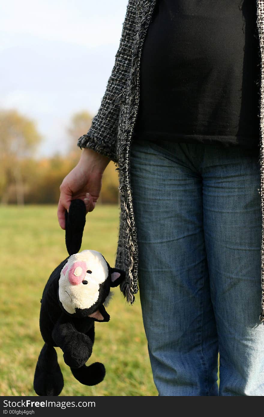 Pregnant woman with cat Felix in her hand. Pregnant woman with cat Felix in her hand