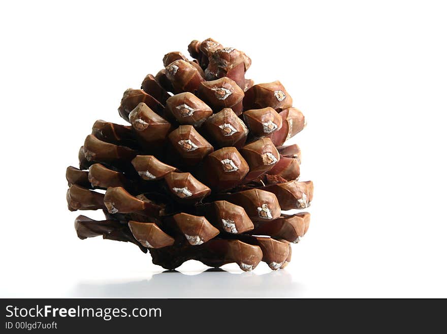 Cone isolated in white background