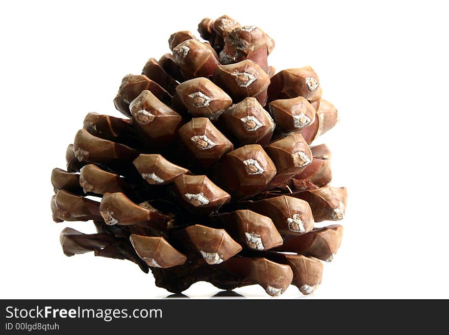 Cone isolated in white background