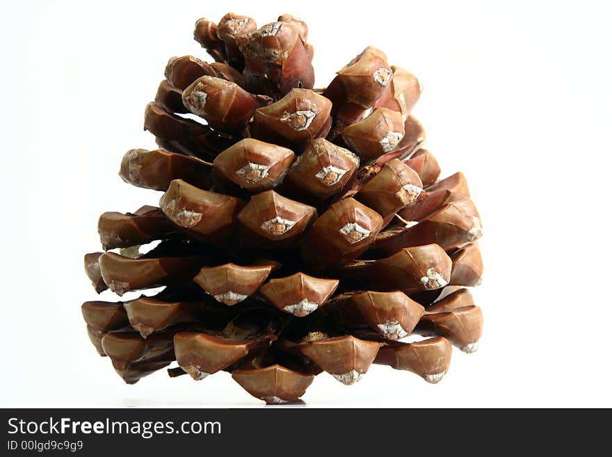 Cone isolated in white background