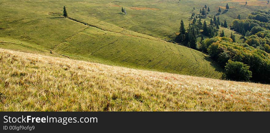 Beautiful landscape in green Carpatian mountains with hills