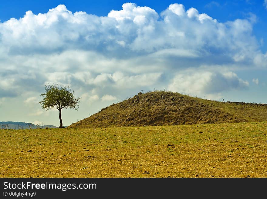 Sicilian Landscape