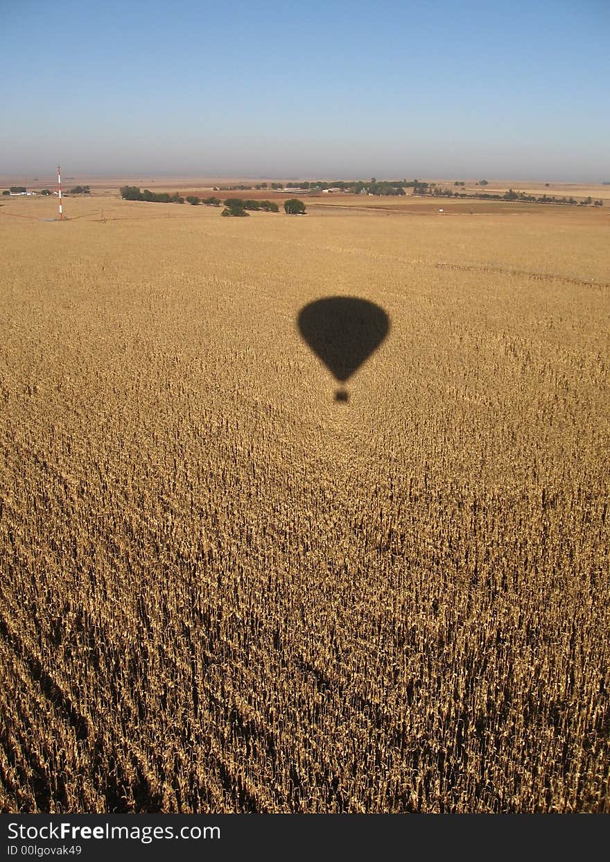 Grain Fields & Hot Air Balloon