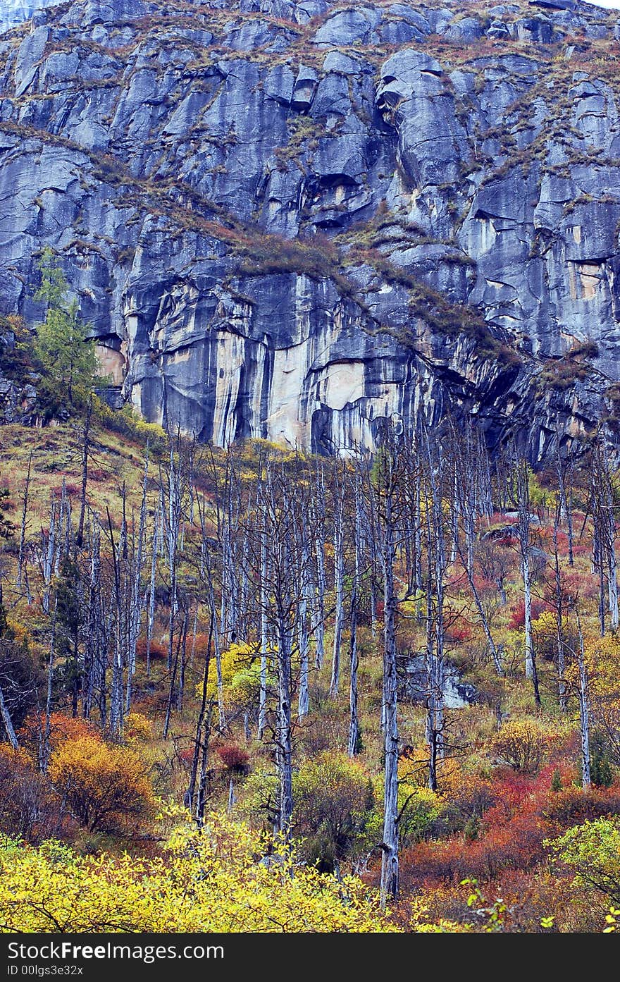 Bi-Peng valley is a beautiful valley lies in the north-west of Sichuan P.R.China.