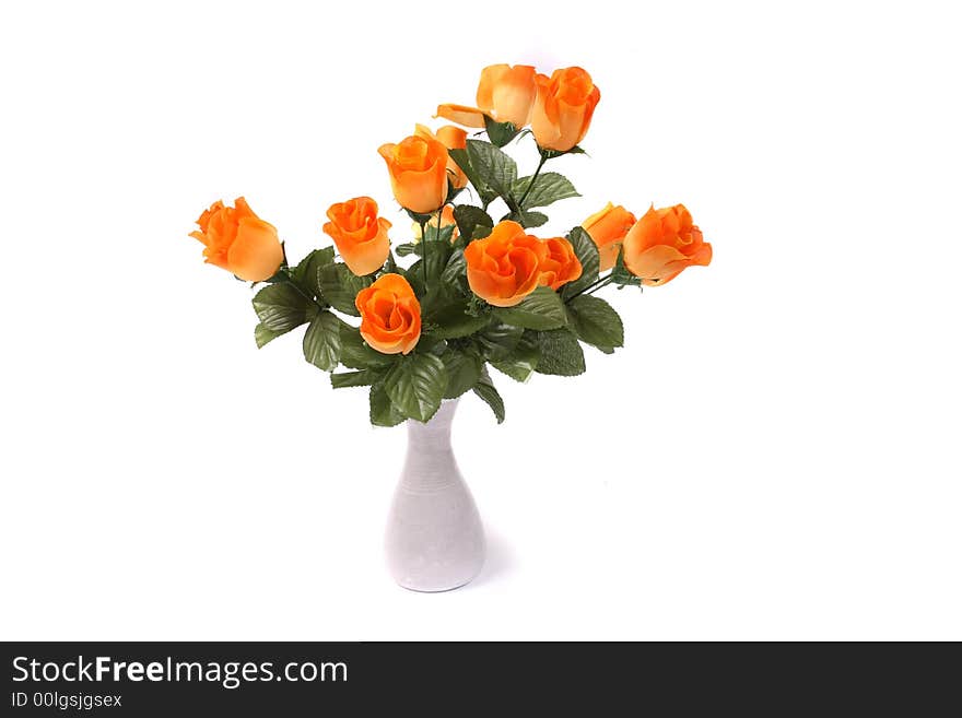 Roses in the vase on the white background