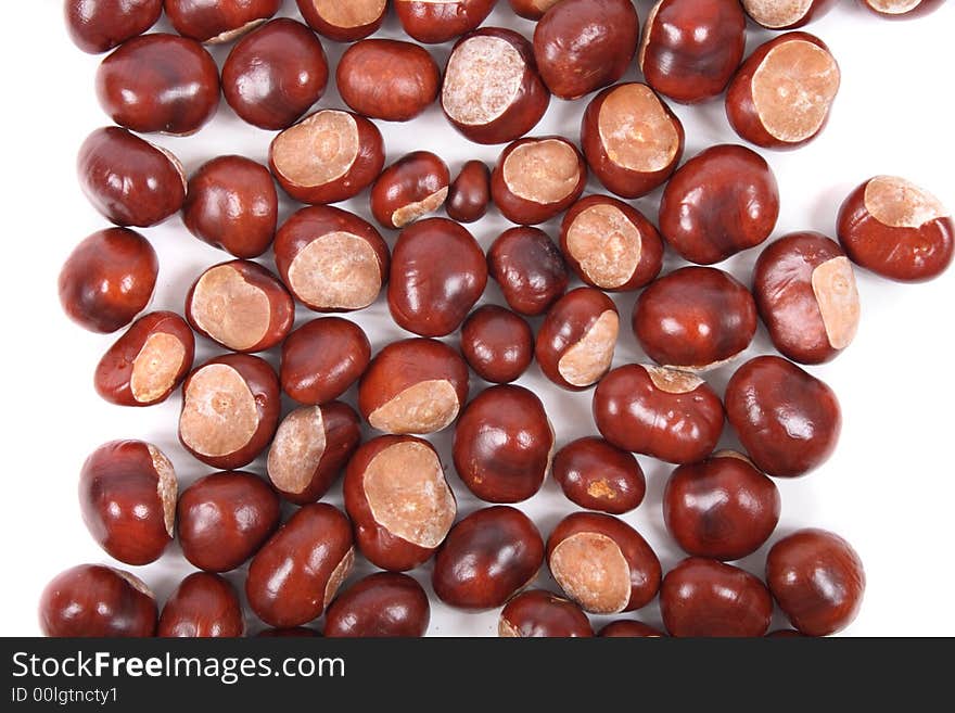 Fresh brown chestnuts on the white background