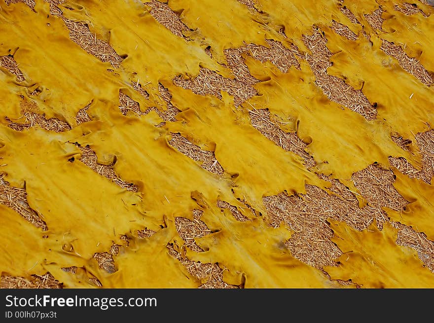 Tannery in Morocco - Fes - drying leather