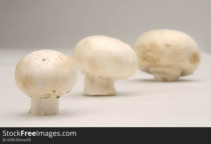 Champignons Standing