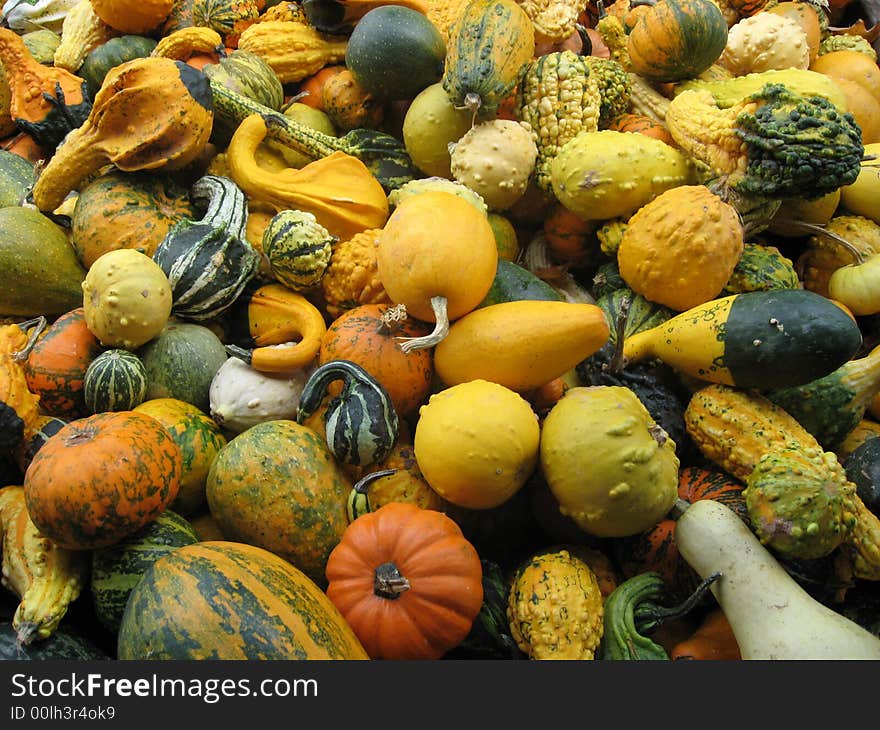 Fall gourds on sale at a farm stand. Fall gourds on sale at a farm stand