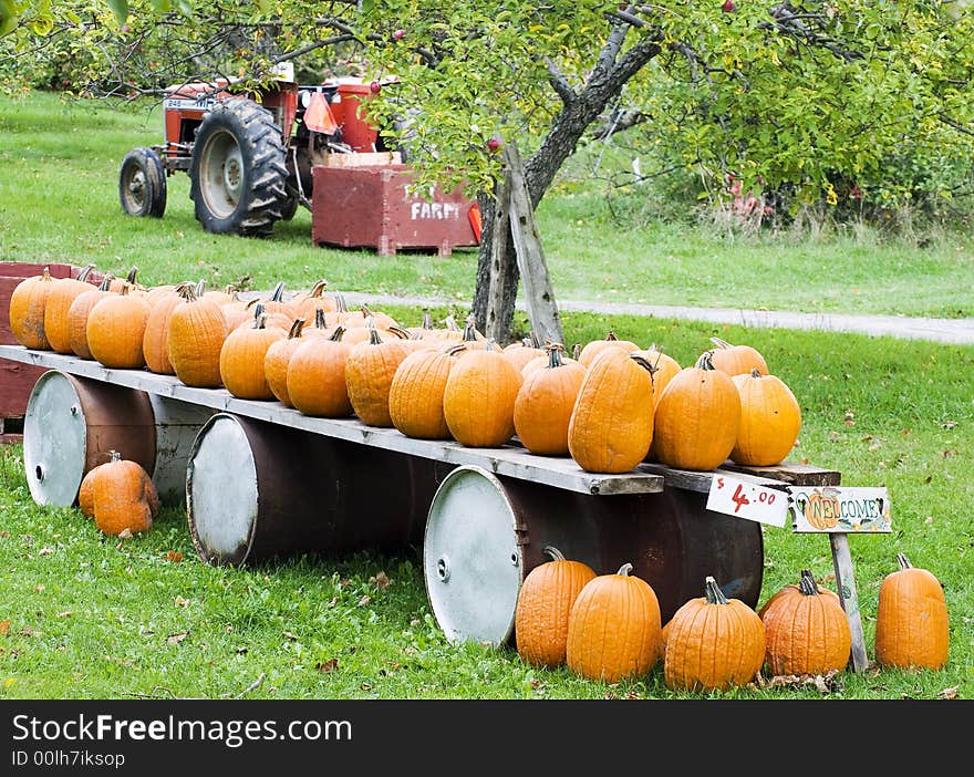 Rural scene of pumpkins fresh from the field and ready for sale. Rural scene of pumpkins fresh from the field and ready for sale