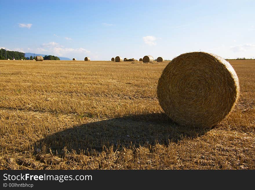 Summer Rural Bale Landscape