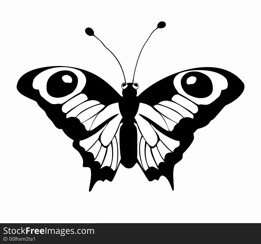 Black And White Butterfly