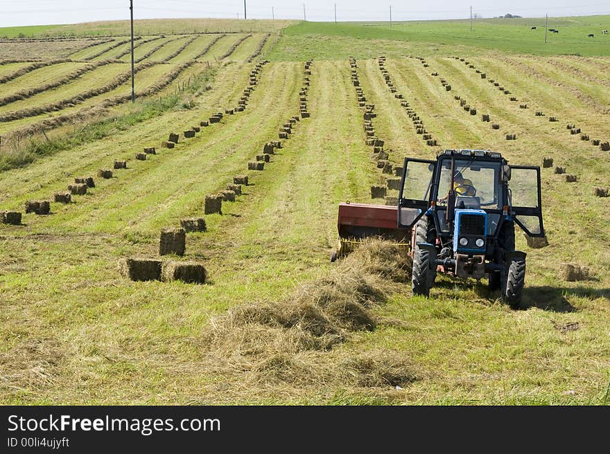 Hay-making