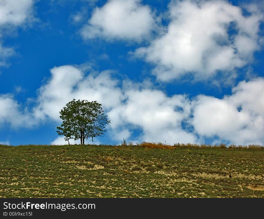 Landscape with a tree in Vojvodina, Serbia. Landscape with a tree in Vojvodina, Serbia